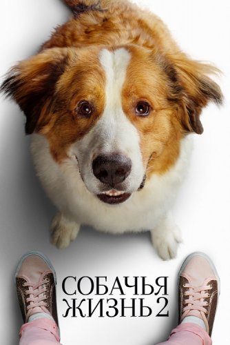 Постер к фильму Собачья жизнь 2 / A Dog's Journey (2019) BDRip 720p от селезень | Лицензия