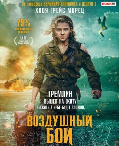 Воздушный бой / Shadow in the Cloud (2020) BDRemux 1080p от селезень | HDRezka Studio