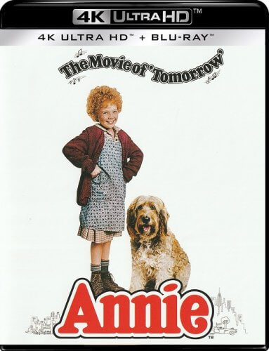Энни / Annie (1982) UHD BDRemux 2160p от селезень | 4K | HDR | P